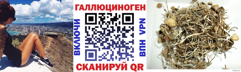 мега ССЫЛКА  наркота  Орск  Галлюциногенные грибы мицелий 